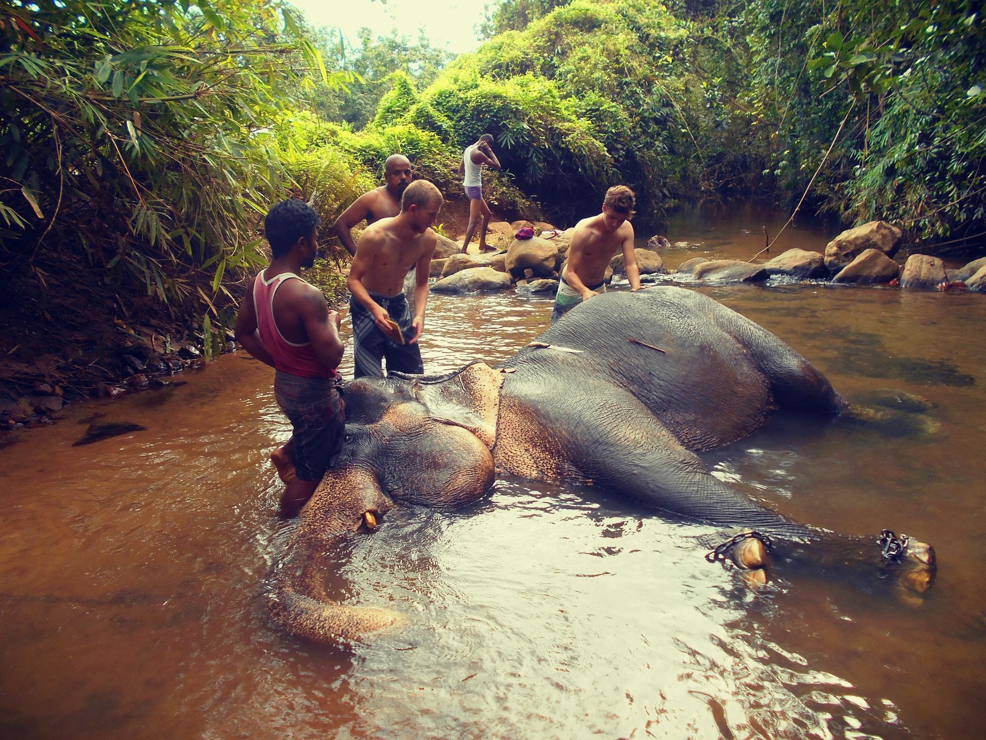 แซฟไฟร์ ฮอลิเดย์ รีสอร์ท รัตนปุระ ภายนอก รูปภาพ
